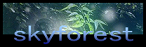 skyforest.banner2.png